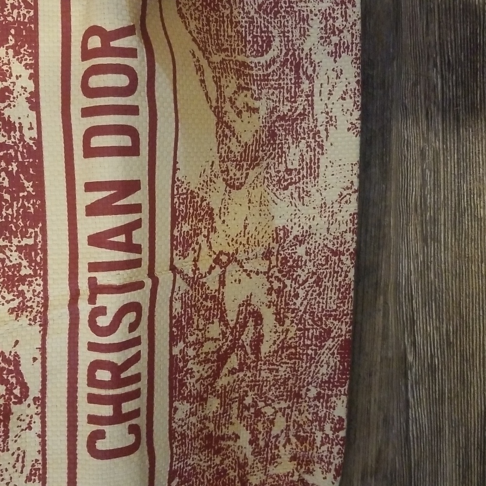 Christian Dior Tote Red Toile Print and tan NWT VIP Brand New Collecters - Picture 13 of 13